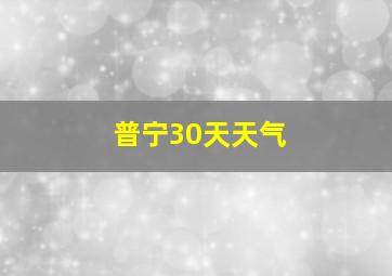 普宁30天天气