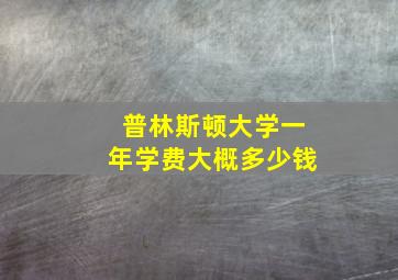 普林斯顿大学一年学费大概多少钱