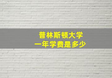 普林斯顿大学一年学费是多少