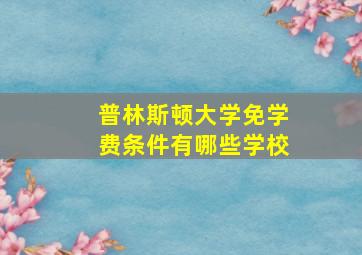 普林斯顿大学免学费条件有哪些学校