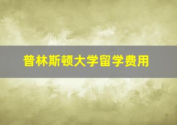 普林斯顿大学留学费用