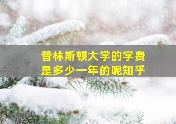 普林斯顿大学的学费是多少一年的呢知乎