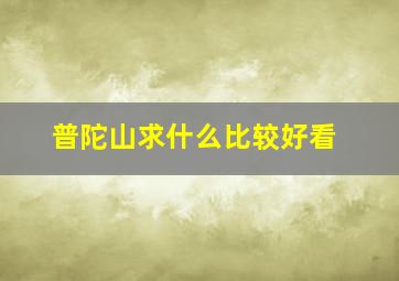 普陀山求什么比较好看