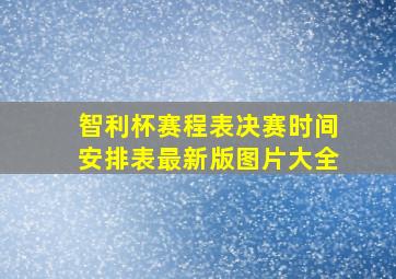 智利杯赛程表决赛时间安排表最新版图片大全