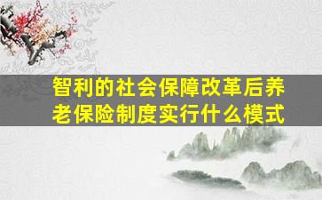 智利的社会保障改革后养老保险制度实行什么模式