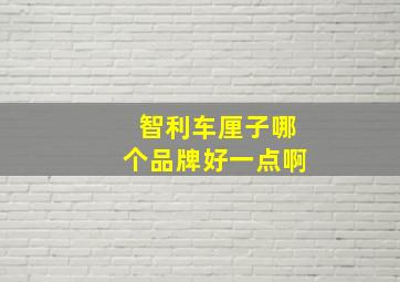 智利车厘子哪个品牌好一点啊