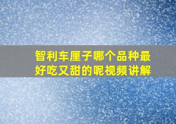 智利车厘子哪个品种最好吃又甜的呢视频讲解