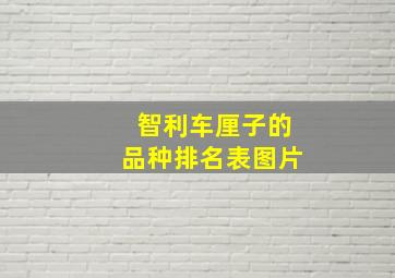 智利车厘子的品种排名表图片