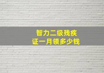 智力二级残疾证一月领多少钱