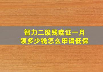 智力二级残疾证一月领多少钱怎么申请低保