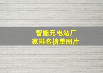 智能充电站厂家排名榜单图片