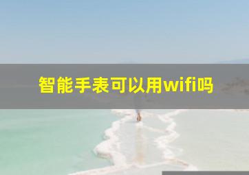 智能手表可以用wifi吗