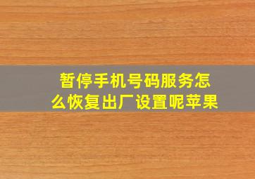 暂停手机号码服务怎么恢复出厂设置呢苹果