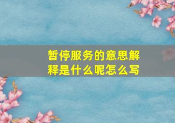 暂停服务的意思解释是什么呢怎么写