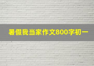 暑假我当家作文800字初一