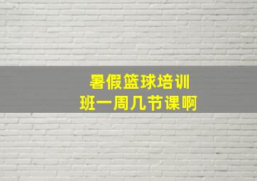 暑假篮球培训班一周几节课啊