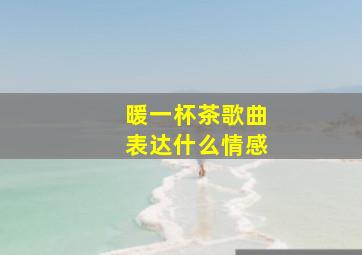 暖一杯茶歌曲表达什么情感