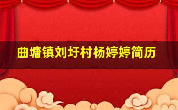 曲塘镇刘圩村杨婷婷简历