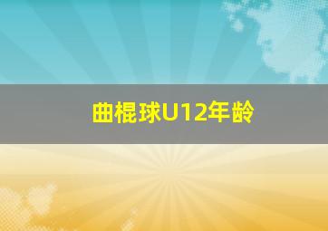 曲棍球U12年龄