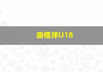 曲棍球U18