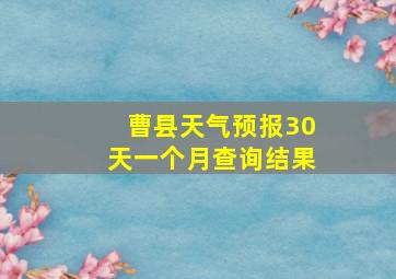 曹县天气预报30天一个月查询结果