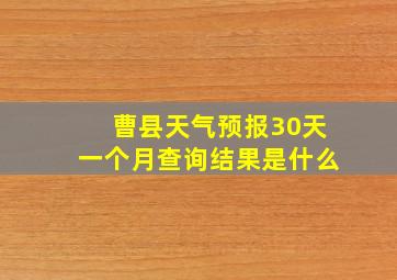 曹县天气预报30天一个月查询结果是什么