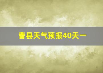 曹县天气预报40天一