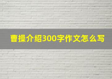 曹操介绍300字作文怎么写