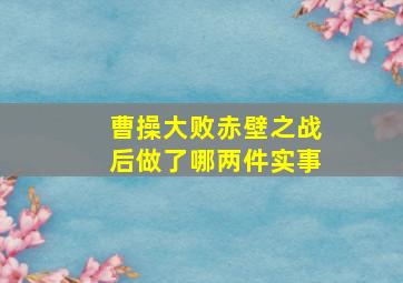 曹操大败赤壁之战后做了哪两件实事