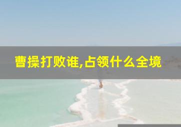 曹操打败谁,占领什么全境