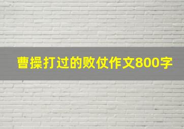 曹操打过的败仗作文800字