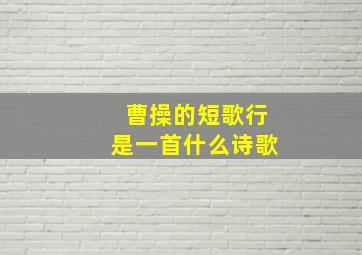 曹操的短歌行是一首什么诗歌