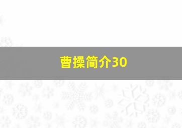 曹操简介30