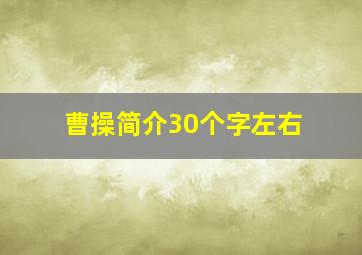 曹操简介30个字左右