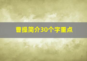 曹操简介30个字重点