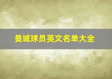 曼城球员英文名单大全