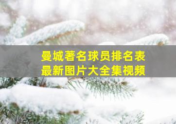 曼城著名球员排名表最新图片大全集视频