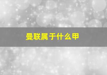 曼联属于什么甲