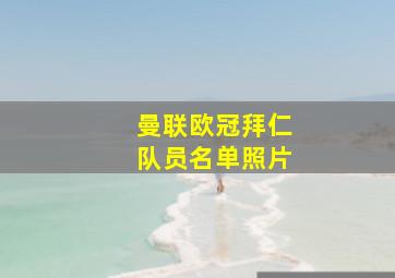 曼联欧冠拜仁队员名单照片