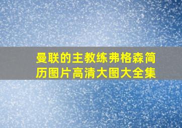 曼联的主教练弗格森简历图片高清大图大全集