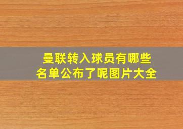 曼联转入球员有哪些名单公布了呢图片大全