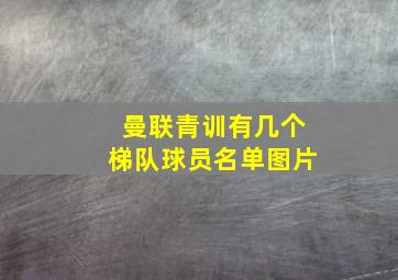 曼联青训有几个梯队球员名单图片