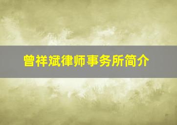 曾祥斌律师事务所简介