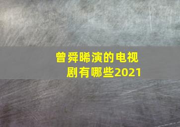 曾舜晞演的电视剧有哪些2021