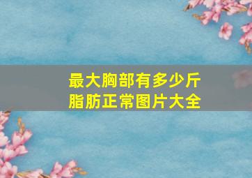 最大胸部有多少斤脂肪正常图片大全