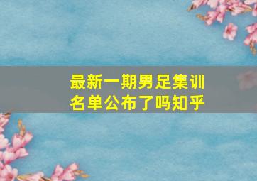 最新一期男足集训名单公布了吗知乎