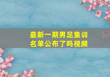 最新一期男足集训名单公布了吗视频