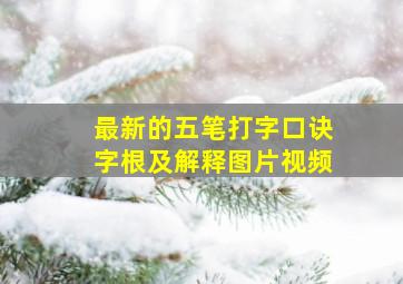 最新的五笔打字口诀字根及解释图片视频