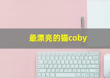 最漂亮的猫coby