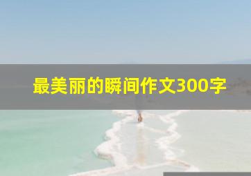 最美丽的瞬间作文300字